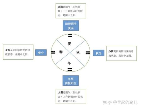 四象代表|四象